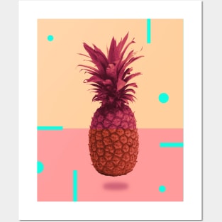 Pineapple Buoy Posters and Art